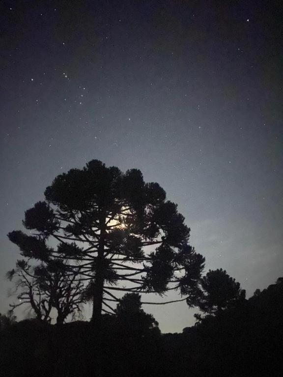 Recanto Luz Da Serra Urubici Dış mekan fotoğraf