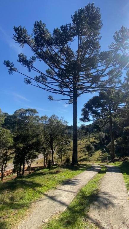 Recanto Luz Da Serra Urubici Dış mekan fotoğraf